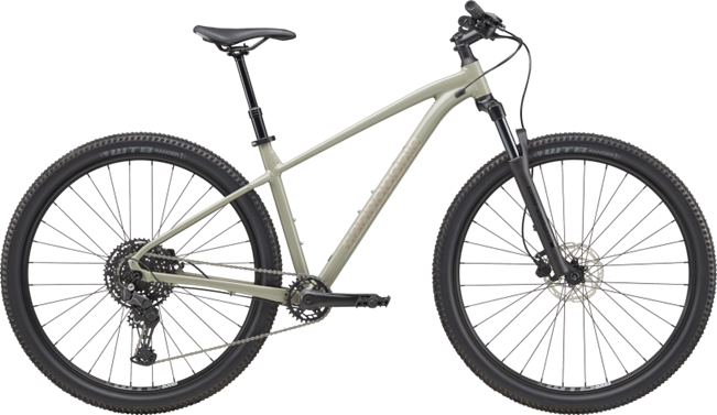 Cannondale Trail 1