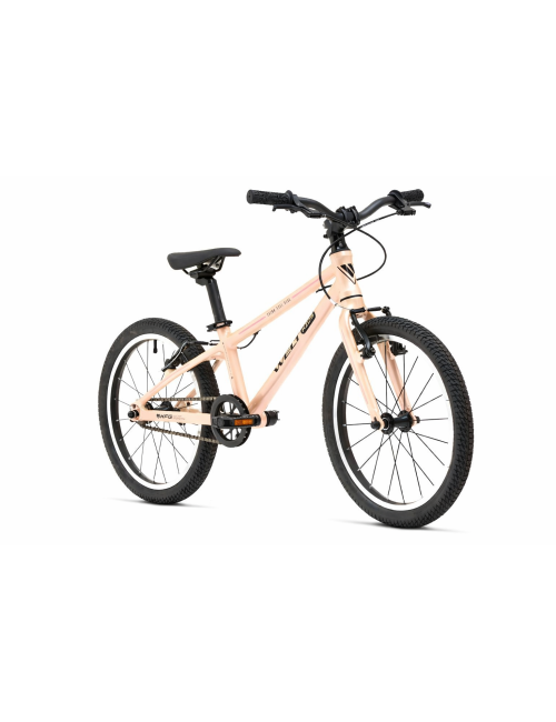 Welt Teddy 16