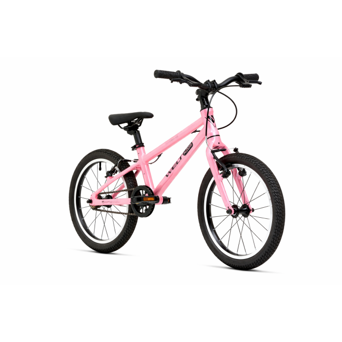 Welt Teddy 16