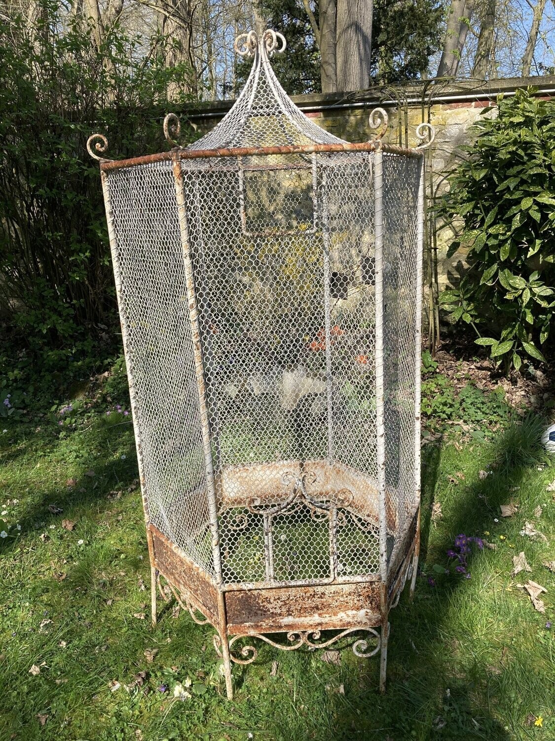 CAGE A OISEAUX 19ème siécle