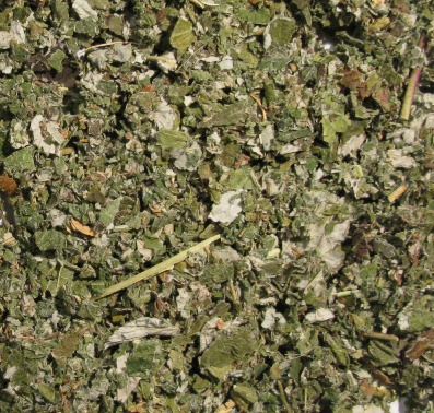 Feuilles de framboisiers / Himbeerblätter