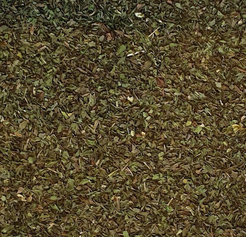 Menthe marocaine / Marokanische Minze