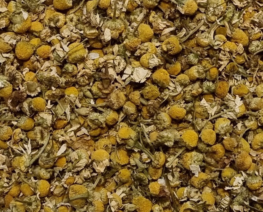 Camomille / Kamille  BIO