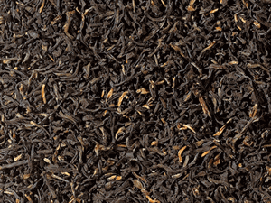 Assam TGFOP Orangajuli (First Flush)