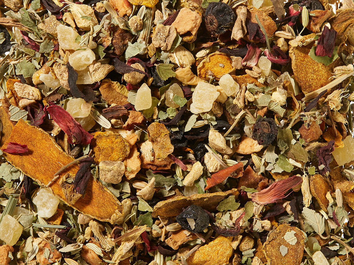 Curcuma cassis / Kurkuma Cassis