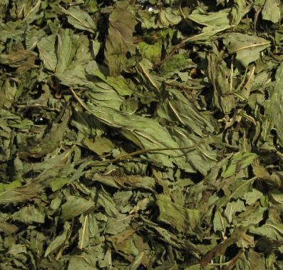 Menthe poivrée / Pfefferminze