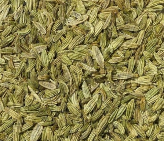 Fenouil / Fenchel   Bio