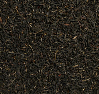 Ceylan FOPF &quot;North Vithanakande&quot;