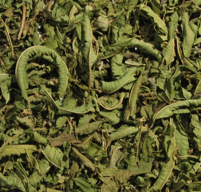 Verveine / Eisenkraut 30gr   Bio