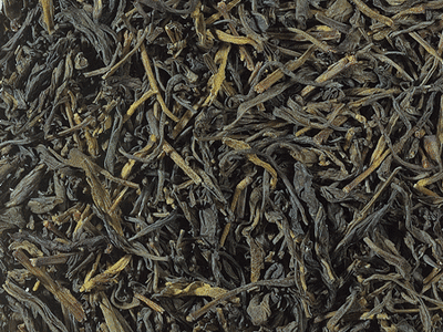 Idulgashinna (Ceylon) bio
