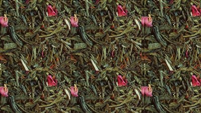 Fruits des bois  + Cranberry / Waldfrüchte + Cranberry