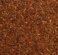 Rooibos