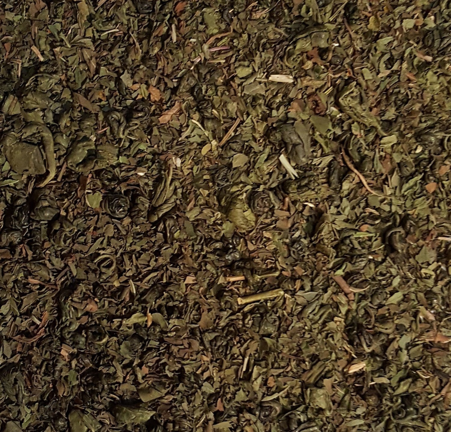 Oriental Mint Bio
