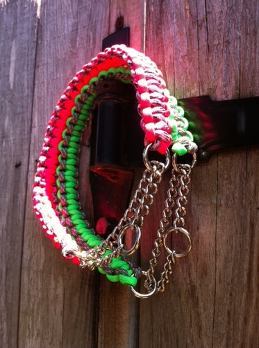 paracord martingale dog collar