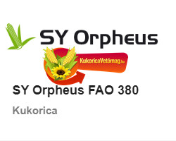 SY ORPHEUS FAO 380