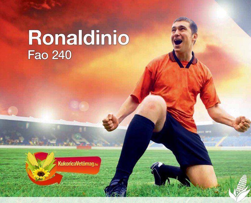 RONALDINIO FAO 250-300