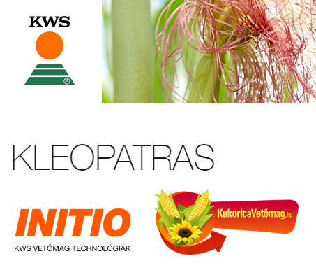 KLEOPATRAS FAO 600 - 650