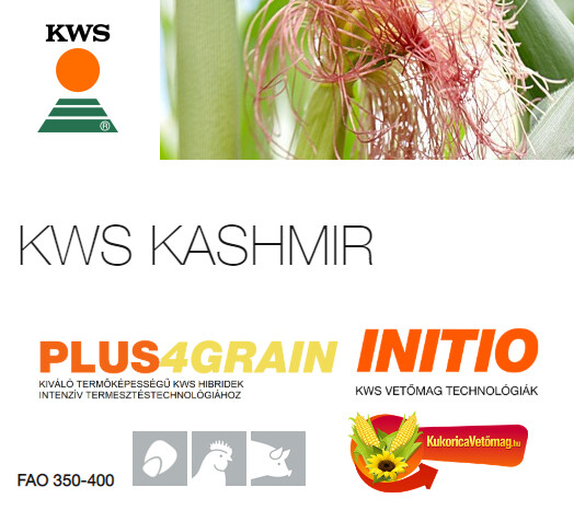 KASHMIR FAO 350 - 400