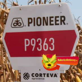 P9363 FAO 350 rovarölő csávázással