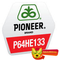 P64HE133 HO Express rovarölő csávázással