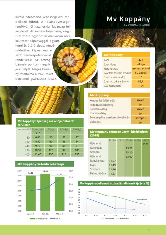 Mv Koppány FAO 420 70e.szem/zsák