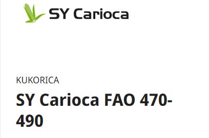 SY Carioca FAO 480 50e.sz/zsák