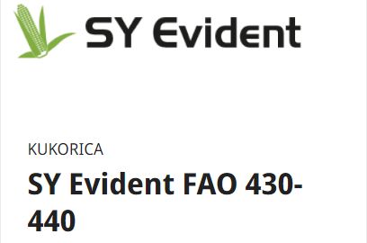 SY Evident FAO 435 ÚJ 2025 50e.sz/zsák