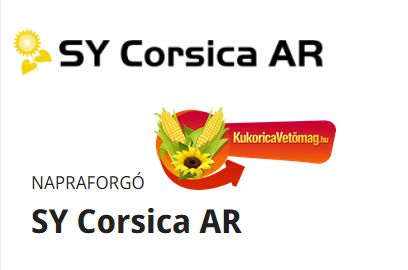 SY Corsica AR LO AIR 150e.szem/zsák