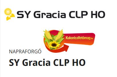 SY GRACIA HO CLP 150e.szem/zsák