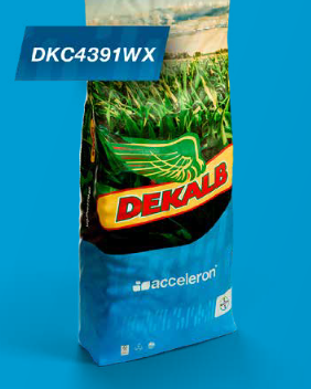 DKC4391 WAXY FAO 330-350 ÚJ 2025