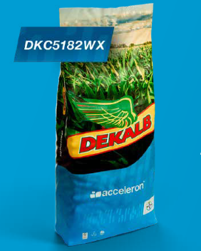 DKC5182 WAXY FAO 450-480 DKC5182 WAXY FAO 450-480