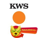 KWS Kallisto Silócirok korai érés