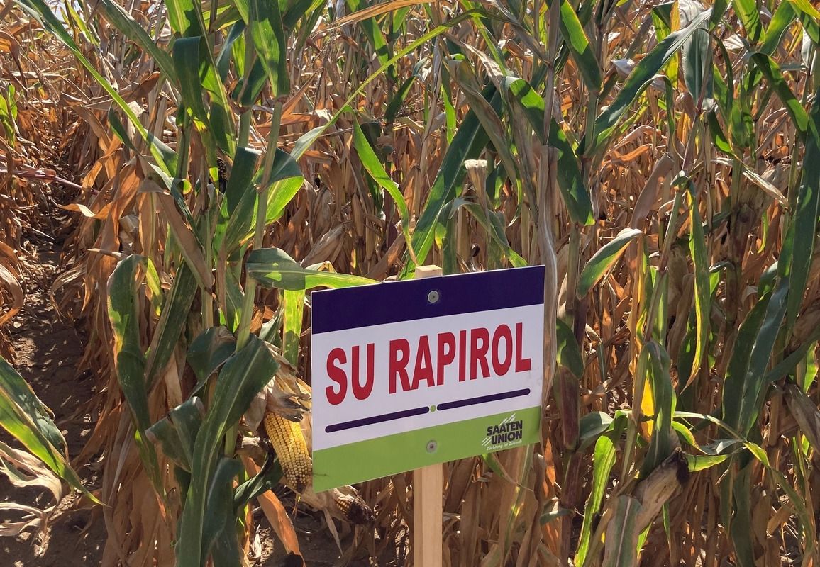 SU Rapirol FAO 360 50e.sz/zsák