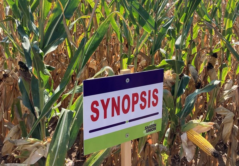 Synopsis FAO390 50e.sz/zsák Synopsis FAO390 50e.sz/zsák