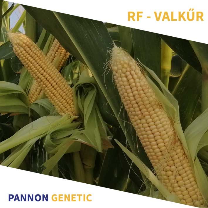 RF VALKŰR SILÓ FAO 750 70e.szem/zsák