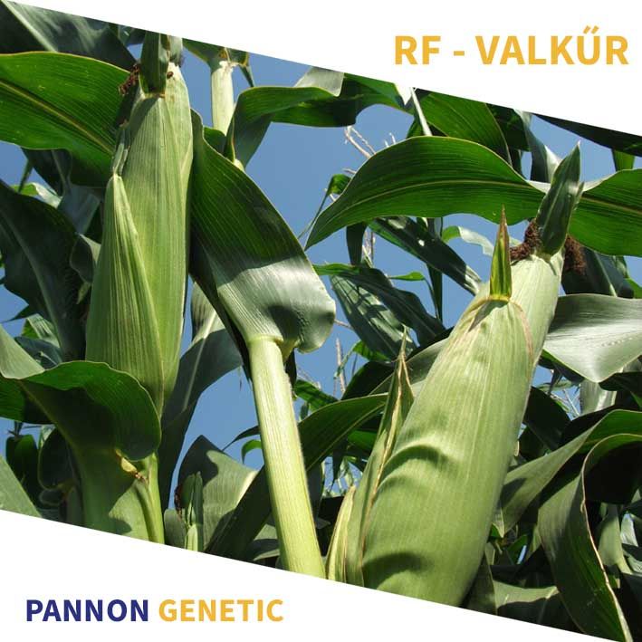 RF VALKŰR SILÓ FAO 750 70e.szem/zsák