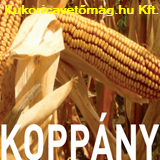 Mv Koppány FAO 420 70e.szem/zsák