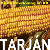 Mv Tarján FAO 380 70e.szem/zsák