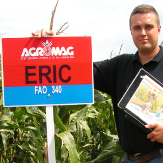 Arcadio FAO 390 (70.000 szem/zsák)