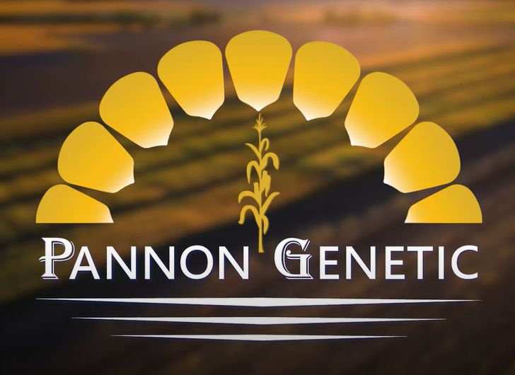 RF 210 Szemes FAO 200 70e.szem/zsák RF 210 Szemes FAO 200 70e.szem/zsák