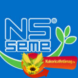 NS seme