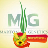 Marton Genetics