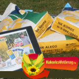 Napraforgó vetőmag