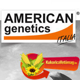 AMERICAN genetics