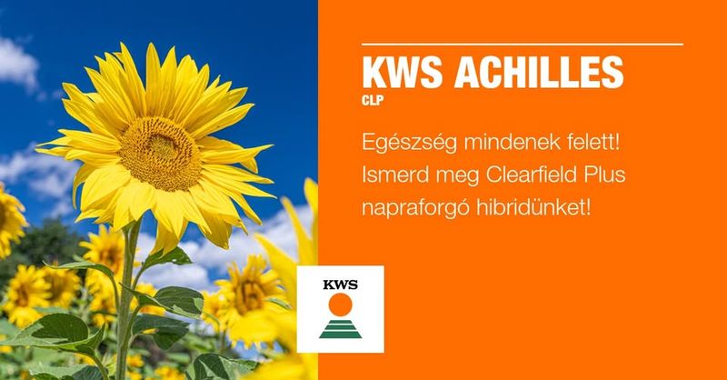 KWS ACHILLES LINO CLP+ középérés 150e.szem/zsák