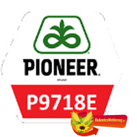 P9718E FAO 390 WAXY P9718E FAO 390 WAXY