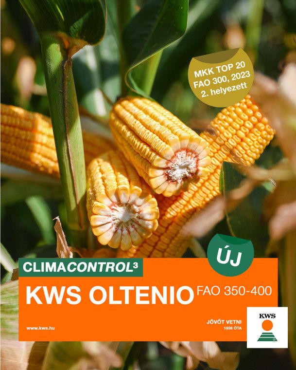 KWS Oltenio FAO 350-370 KWS Oltenio FAO 350-370