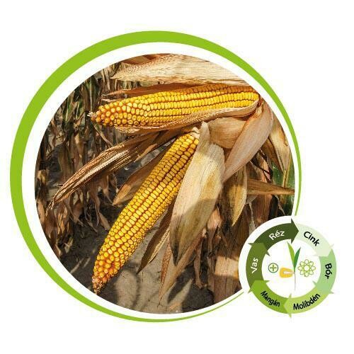 Kiskun 4291 Alap csávázással FAO 300 70e.sz/zsák