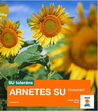 Arnetes LINO SULFO középkései 150e.szem/zsák