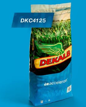 DKC4125 FAO 310-330 KORIT 420 FS madárriasztó csávázással (50e.szem/zsák)